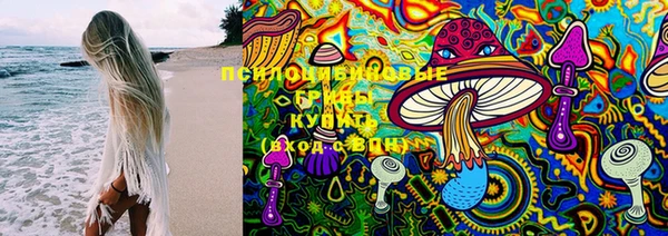 2c-b Горно-Алтайск